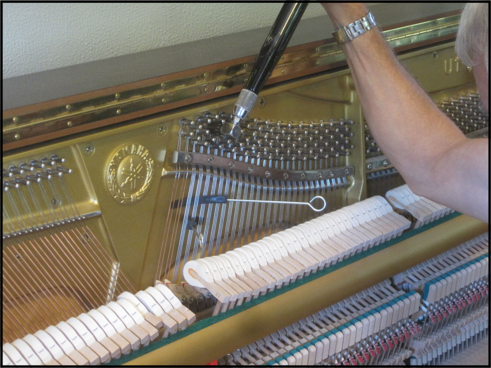 Regular Piano Tuning Maintenance